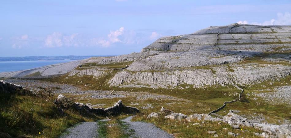 Roadside Cottage The Burren Kilfenora County Clare Kültér fotó